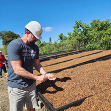 Load image into Gallery viewer, Man in a hard-hat inspecting coffee beans