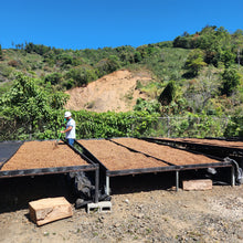 Load image into Gallery viewer, Coffee Roasting Plant