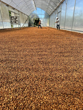 Load image into Gallery viewer, Coffee Beans - The Process