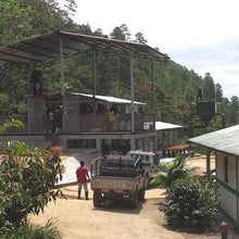 Load image into Gallery viewer, Coffee Plantation