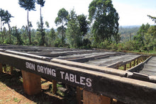 Load image into Gallery viewer, Kenya Coffee Skin Drying Tables