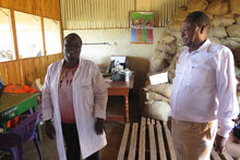 Load image into Gallery viewer, Kenya Coffee Plant