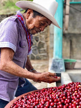 Load image into Gallery viewer, Chiapas Mexico