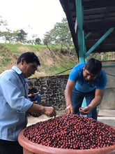 Load image into Gallery viewer, Mexico Chiapas Cafe