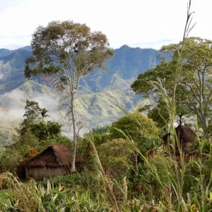 Papua New Guinea Korofeigu Organic Single Origin (medium roast)