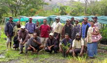 Load image into Gallery viewer, Papua New Guinea Korofeigu Organic Single Origin (medium roast)
